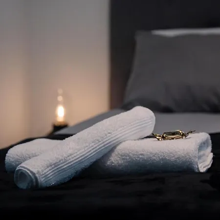 Elegant Penthouse Loft - Near The Airport Hotelli Vantaa