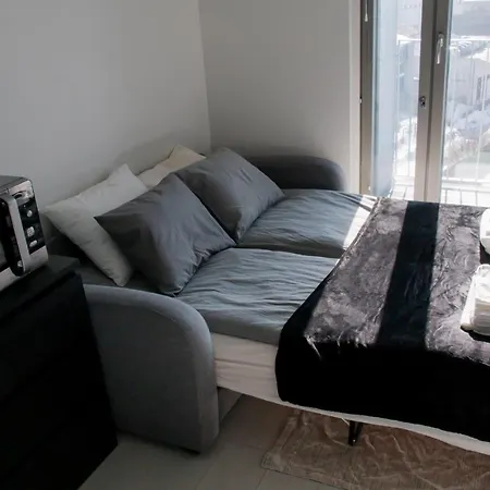 Апартаменты Elegant Penthouse Loft - Near The Airport Вантаа