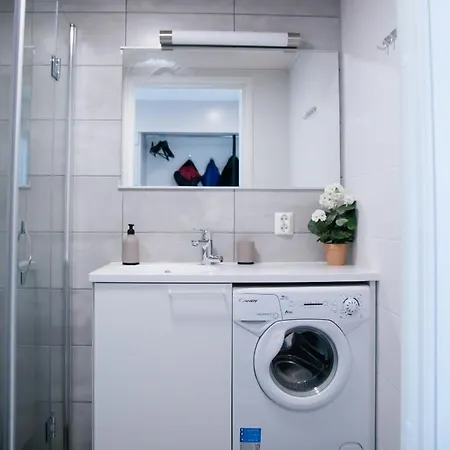Elegant Penthouse Loft - Near The Airport Apartment