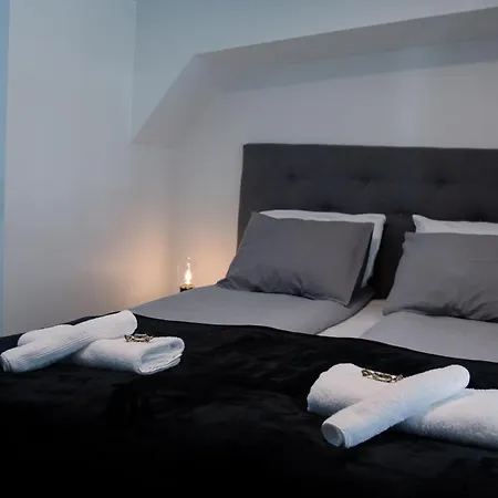 Elegant Penthouse Loft - Near The Airport Apartment