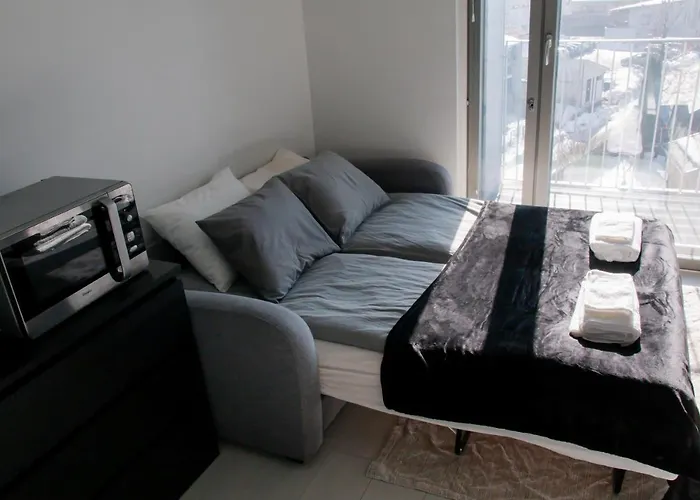 ホテル Elegant Penthouse Loft - Near The Airport ヴァンター